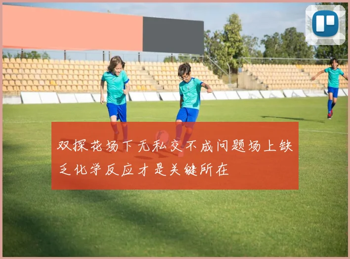 双探花场下无私交不成问题场上缺乏化学反应才是关键所在