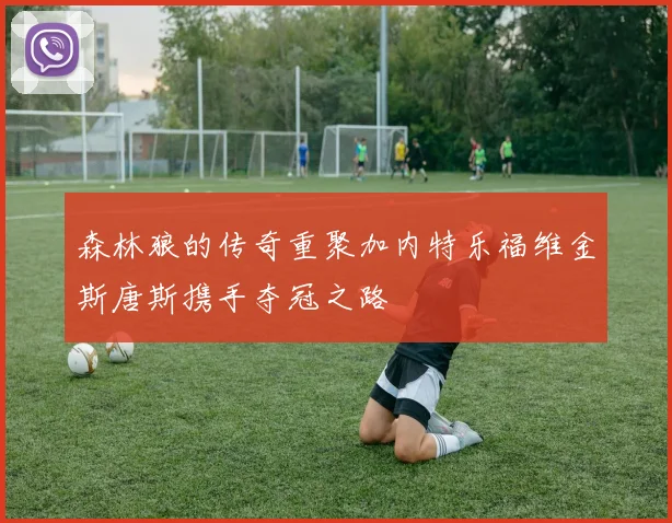 森林狼的传奇重聚加内特乐福维金斯唐斯携手夺冠之路